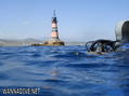 scuba diving photo