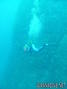 scuba diving photo