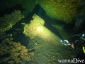 scuba diving photo