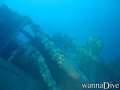 scuba diving photo