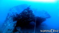 scuba diving photo