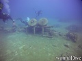 scuba diving photo