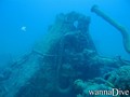 scuba diving photo