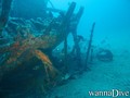 scuba diving photo