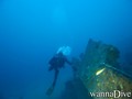 scuba diving photo