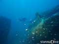 scuba diving photo
