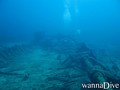 scuba diving photo
