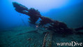 scuba diving photo