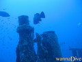 scuba diving photo