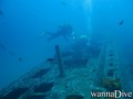 scuba diving photo