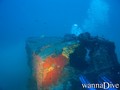 scuba diving photo