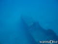 scuba diving photo