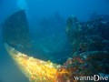scuba diving photo