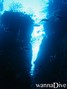 scuba diving photo