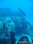 scuba diving photo