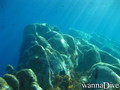 scuba diving photo