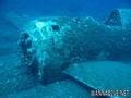 scuba diving photo