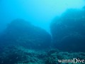 scuba diving photo