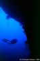scuba diving photo