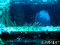 scuba diving photo