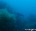 scuba diving photo