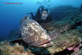 scuba diving photo