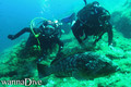scuba diving photo