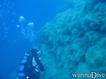 scuba diving photo