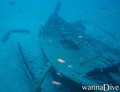 scuba diving photo