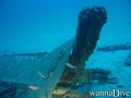 scuba diving photo