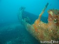scuba diving photo