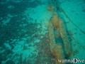 scuba diving photo
