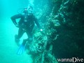 scuba diving photo