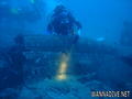 scuba diving photo