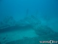 scuba diving photo