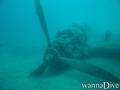 scuba diving photo