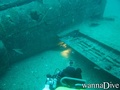 scuba diving photo