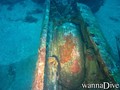 scuba diving photo