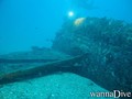 scuba diving photo