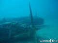 scuba diving photo