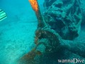 scuba diving photo