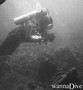 scuba diving photo
