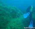 scuba diving photo