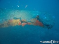 scuba diving photo