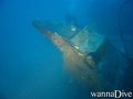 scuba diving photo