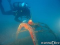scuba diving photo