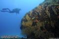 scuba diving photo
