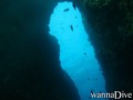scuba diving photo