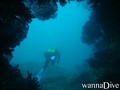 scuba diving photo