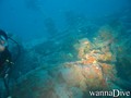 scuba diving photo